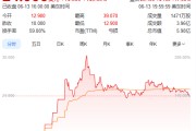 六爻龟壳上市首日暴涨140% 军用无人机公司登陆纽交所 AI打造产品核心竞争力