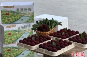 六爻龟壳高速赋能产业升级：一条“杨梅路”的致富密码